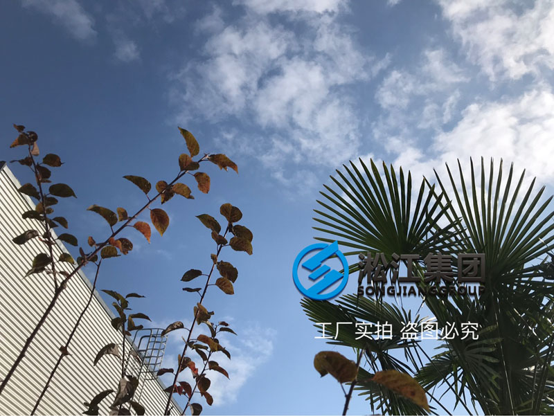 【廠院】淞江集團(tuán)南通工廠外圍配套設(shè)施完善到位 【廠院】淞江集團(tuán)南通工廠外圍配套設(shè)施完善到位
